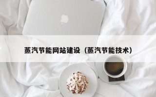 海口蒸汽节能网站建设（蒸汽节能技术）